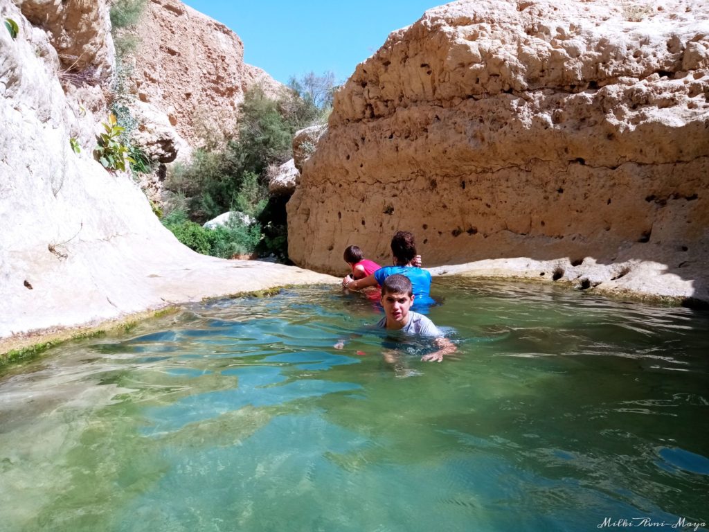 נחל ערוגות