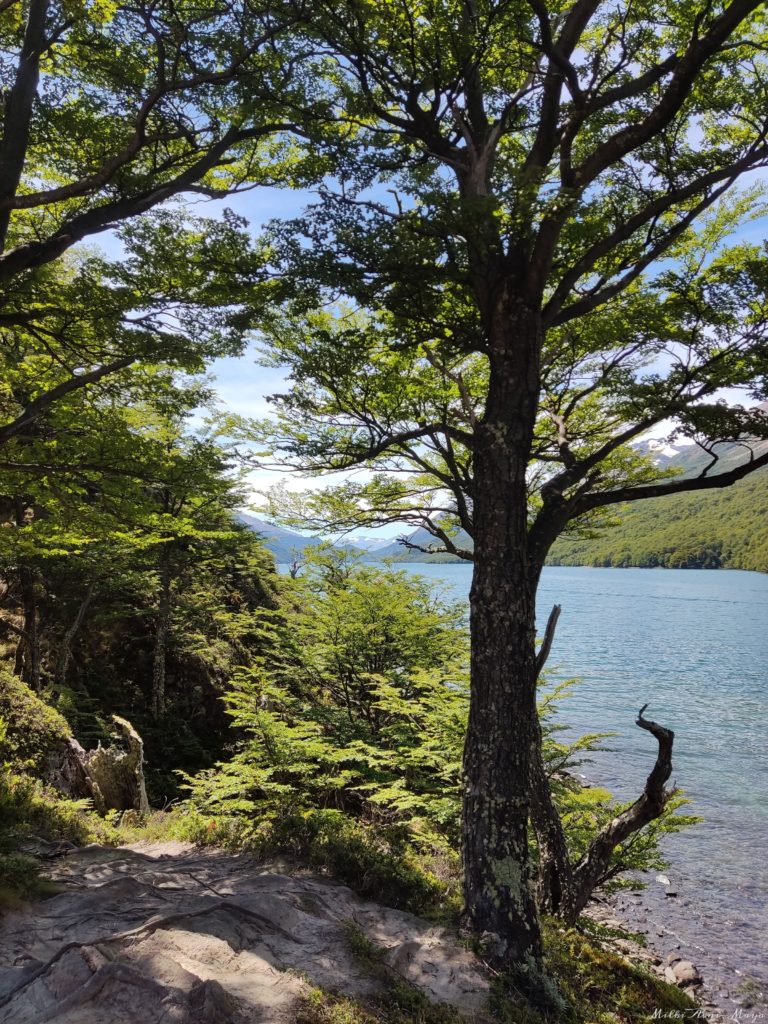 lago del desierto