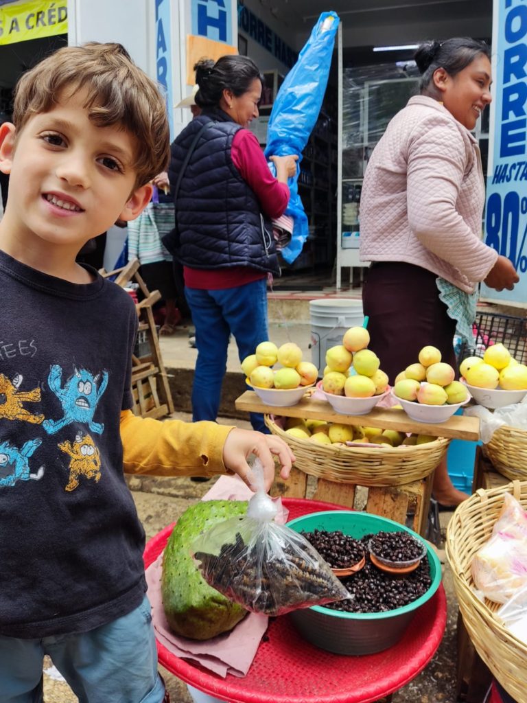 נמלים וזחלים מטוגנים. בזיל הזול!